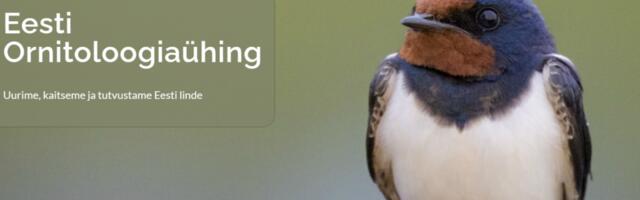 Ornitoloogiaühing kutsub märkama saabuvaid rändlinde