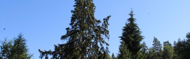 Maa- ja metsaomanikud on vastu maamaksu tõusu piirmäärale