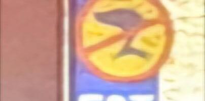 PPA lõpetas teenistusliku kontrolli numbrituvastuse kohta