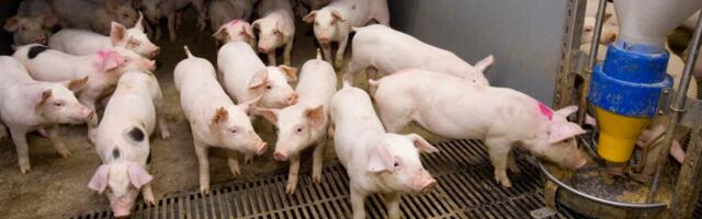 Toidutööstust ootab jõhker põnts