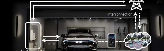 GM asub julgelt Hiina draakoni tiibu kärpima