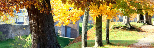 Pühapäeval on päikseline ilm