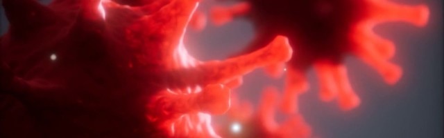 Reporter: Synlab: vaktsiini järel tekkinud antikehad säilivad noorematel inimestel kauem