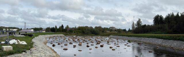 Püssi paisu avamine ja kalapääsu rajamine on jõudnud lõpusirgele