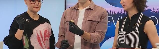 "Terevisioonis" valmisid kiirelt maitsvad ja kaunid trühvlikommid