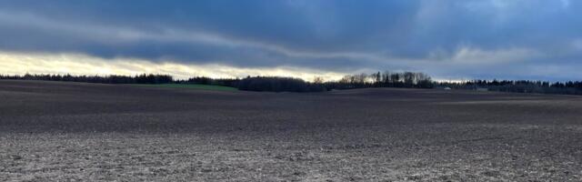 Paul-Techi põllujaam: novembri esimese poole soe soodustas taimede kasvu