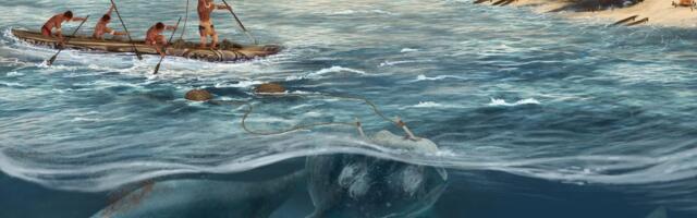 Vaalade jahtimine algas Lõuna-Ameerikas 5000 aastat tagasi – tuhat aastat varem kui seni arvati