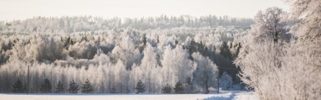 Soome meteoroloog: ees ootab talve külmim nädal