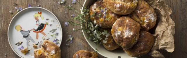 LAULUPEOLISELE TOIDUPAUNA | Aprikoosikuklid