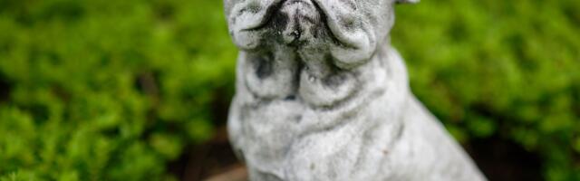 Lemmiklooma surm võib olla sama valus kui lähedase lahkumine