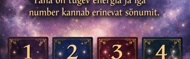 ✨ Vali üks number 1–4 ✨