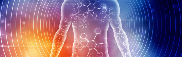 Inimese bioenergia tervis on kõige olulisem