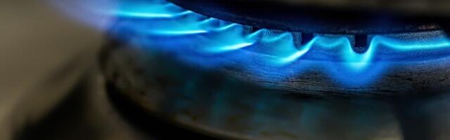 Поставщики газа ЕС призывают сохранить транзит через Украину