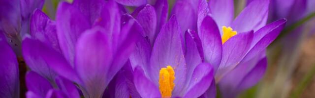 PÄEVAHOROSKOOP: kolmapäev, 23. aprill