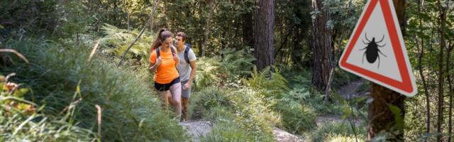 Puugivaktsiini kordusdoosi nihkumine 10 aasta peale on pooleli