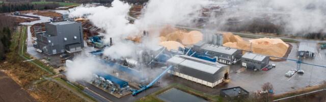 Eksperdid: reaalne ekspordikasv on tagasihoidlik, Eesti päritolu kaupade müük püsib nõrk