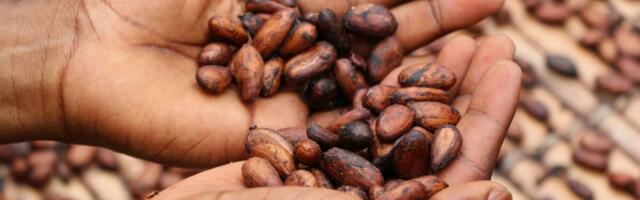 Euroopa Komisjon soovib lihtsustada raadamisvabade toodete määrust