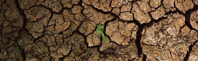 ÜRO uuring: maailm on jõudnud veepankroti ajastusse