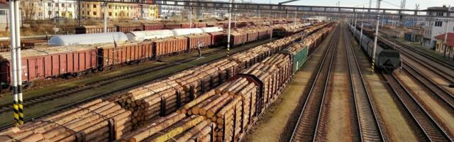 Juulikuus lõpeb töö paljudes Vene saeveskites