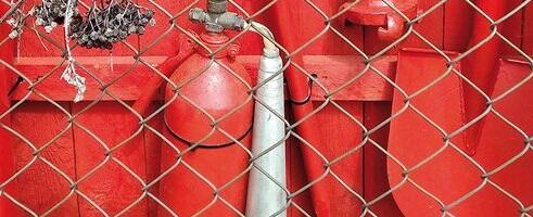 Must lagi on ema toal