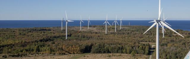 Rein Sikk: tuulikuärimehed ise on süüdi, et tuulikuid vihatakse