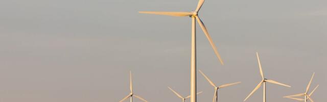 84 tuulikut kõrgusega kuni 300 meetrit! Lääne-Virumaa valimisi kipub varjutama tuulikusõda