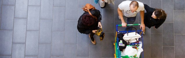 Toidule ja eluasemele kulub kolmandik leibkonna eelarvest