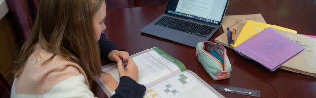 JUHTKIRI | Veebiõpetaja eksperiment on huvitav, kuid mitte kestlik