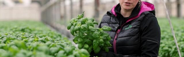 Aasta parim taimekasvataja: oma käega mullast redist võtta – mis saaks olla ägedam?