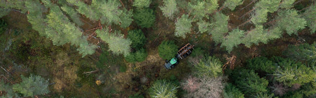 Süsinikukrediitidelt tulu teenimiseks laekus RMK-le viis pakkumist 