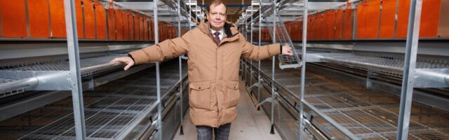 Dava Foods: lihavõtted on meile nagu teised jõulud