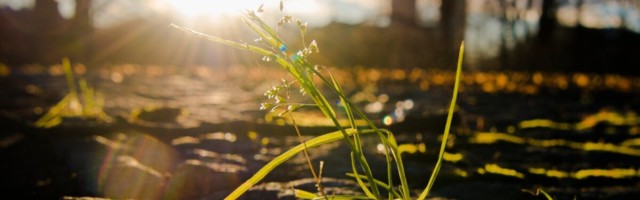 Uuring: päikesevalgus on seotud madalama koroonasuremusega