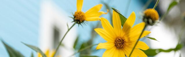 ILMATEADE | Nädala viimane päev toob endaga kaasa ebatavaliselt sooja ilma