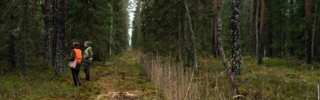 Soodest ja nende taastamisest, kujundlikult