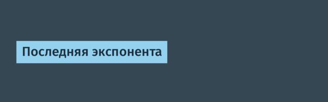 Последняя экспонента