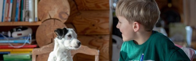 RAHAPUU | Villu Zirnask: hariduses on soodne „ostukoht”. Harimatute maailmas võib isegi vähesega kaugele jõuda