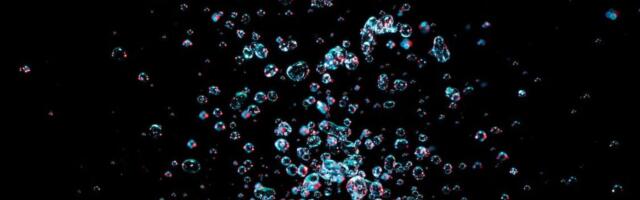 KÕVA SÕNA: volikogu esimees suurustleb väidetavate saavutustega