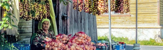 Vanausuliste, sibulate ja hulkurkasside riigis tuleb ära käia enne, kui on hilja