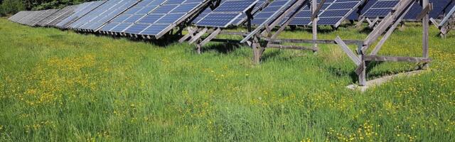 PRIA jagas energiatootmise toetust 238 ettevõtjale