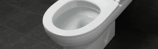 Kuidas eemaldada vannitoast uriinilõhn: üks tilk sellest ja probleem onki lõplikult lahendatud