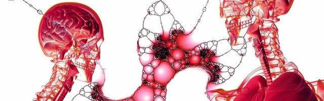 Kibe tegevus, et meid elus hoida – inimkeha toodab mitu miljonit rakku sekundis!