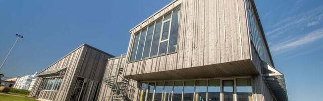 Eesti puitmajasektor püsib tugevana