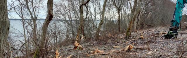 Pakri maastikukaitsealal tõid kooskõlastamata raietööd väärteomenetluse