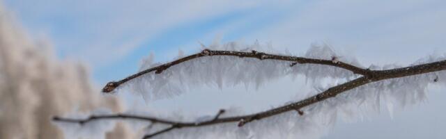 ILMATEADE | Veebruar tuleb detsembrist ja jaanuarist külmem