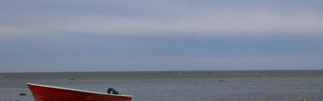 ILMATEADE | Niisked ja soojad ilmad jätkuvad