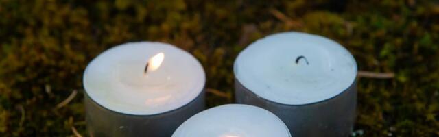 Priit Sibul: Eesti praegune küünlavalguse valitsus lõhub omanike riigi ideaali