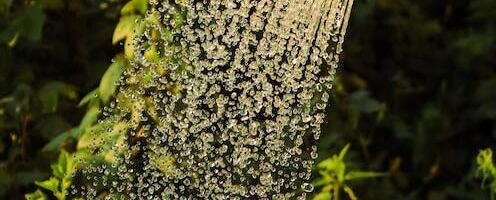 Seadusemuudatus võimaldab lisatasu määramist joogivee suurtarbijatele