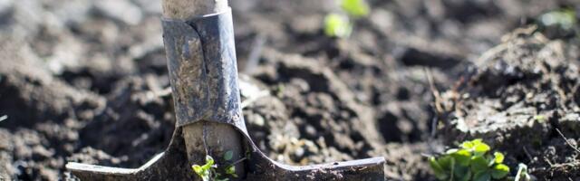 Mida on KSMi taotlejatel vaja teada seoses mullaproovide nõude täitmisega?