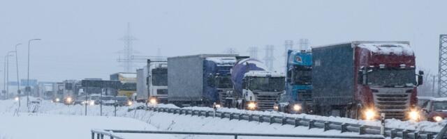 Lemmi Kann: mis on automaksu hind?