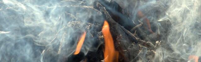 Paralepas süüdati tahtlikult kulu. Päästeamet: kulupõletamine on aasta ringi keelatud